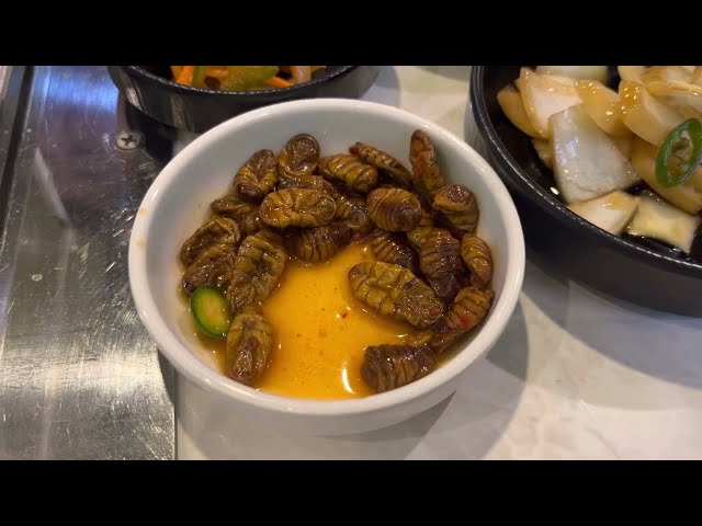 कीड़े ख़ालो फ़्रेंड्स. Eating Silkworm pupae for the first time in South Korea. Beondegi.