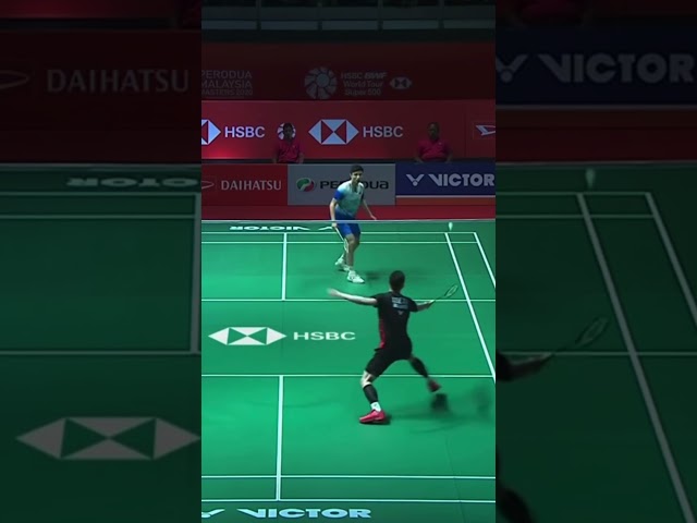 Lee Zii Jia DESTROYS Shi Yu Qi! #shorts #badminton #leeziijia #shiyuqi