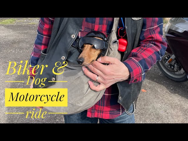 A Video for you - IF you like Motorcycles & Dogs