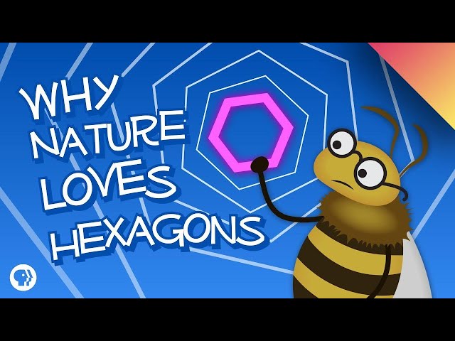 Why Nature Loves Hexagons