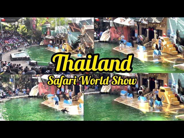 Live performance SAFARI LIVE SHOW PART 02|Life of a Foreigner in Bangkok|Bangkok Thailand🇹🇭Travel