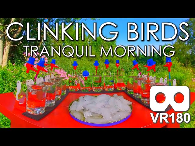 Clinking Birds Tranquil Morning: An ASMR Virtual Reality Experience