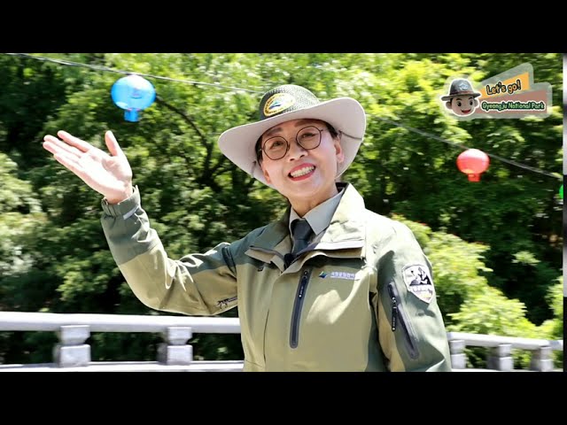 [SD][ENG]  Let's go Gyeongju National Park - Bulguksa