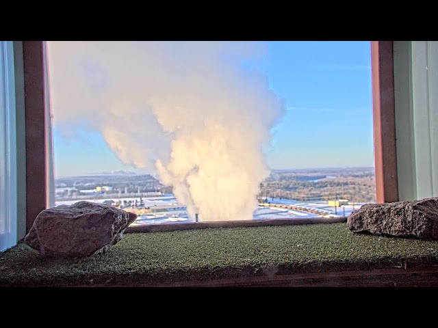 Weston Power Plant peregrine falcon camera - Rothschild, WI