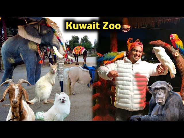 Little Jungle Kuwait | Kuwait Zoo Full Tour | Kuwait Vlog |