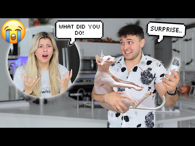 I SHAVED OUR CAT PRANK ON FIANCE.. *GONE WRONG*