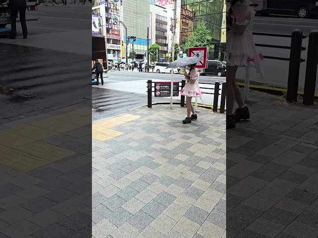 Akihabara maid #akihabara #japan #japantravel #tokyo #tokyotravel #akihabarashopping #maids #asian