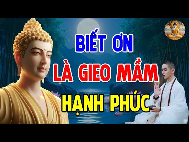 Đời Người Cần Ghi Nhớ - Biết Ơn Là Gieo Mầm Hạnh Phúc - Cây Cao Vạn Trượng Cũng Không Thể Thiếu Gốc