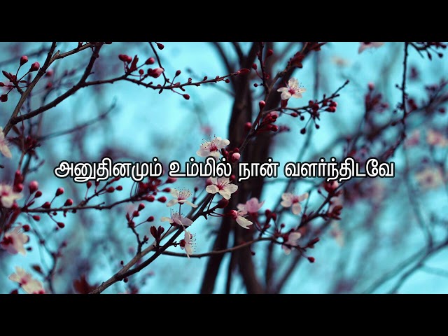 அனுதினமும் உம்மில் நான் | Anuthinamum Ummil Naan | Song  Lyrics Video | Christian360