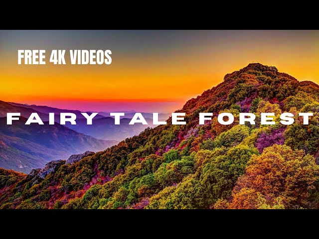 FREE BEAUTIFUL FOREST//DRONE//HD //4K FOOTAGE - COPYRIGHT-FREE VIDEO.