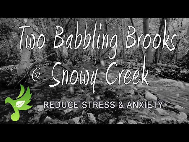 Want DEEP RELAXATION? Watch This White Noise Video Now! TWO Babbling Brooks