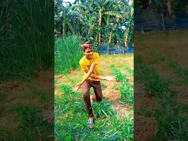 Notun video ##2023 ar notun video. Bairhal tik tok video. #