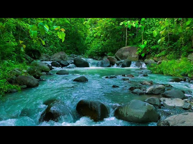 Relaxing River Sound emotional therapy to relieve stress and mental disorders for sleeping