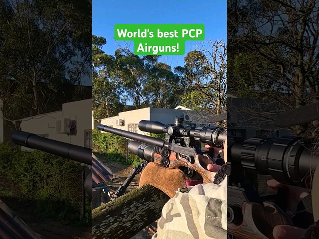 World's best PCP Airguns | Brutally Accurate #fxairguns