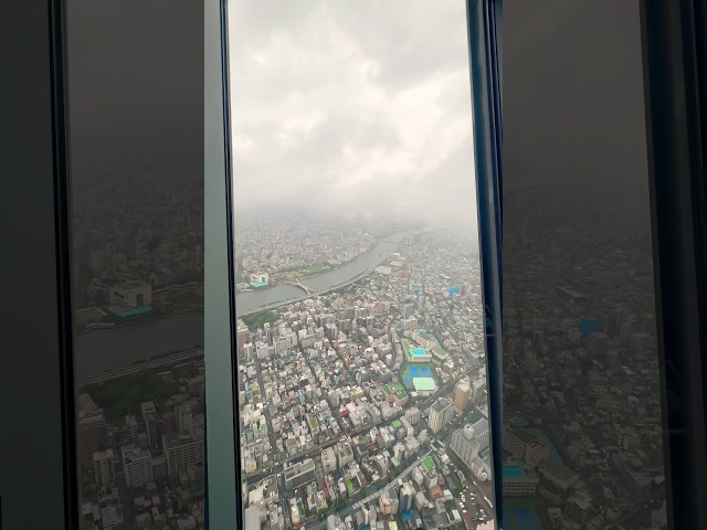 Bird’s Eye View of Tokyo from Tokyo Skytree