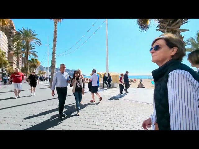 From Poniente Beach through the old town to Levante Beach Benidorm Feb 2025 #benidorm #beach #walk