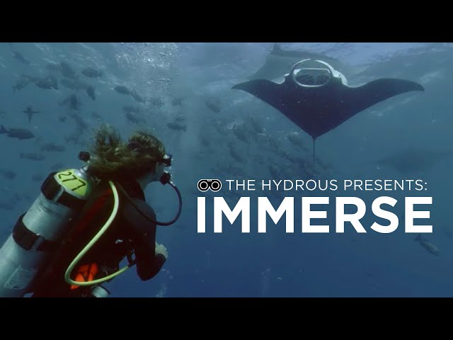 The Hydrous Presents: Immerse