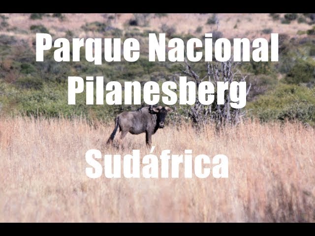 Pilanesberg - Parque Nacional - Sudáfrica