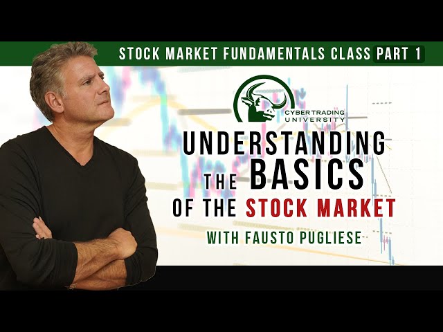 Understanding the Basics of the Stock Market - Fundamentals Class Part 1 with Fausto Pugliese