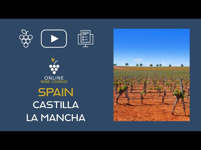 Wine Region of Castilla la Mancha | Spain🍇Online Wine Courses ➡️ with QUIZ