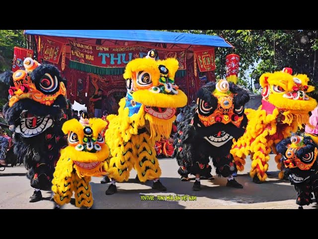 Múa Lân Cực Hay 2024 / Đánh Trống Múa Lân Việt Nam / Lion Dance Barongsai / Lễ Kỳ Yên Đình Tân Lân