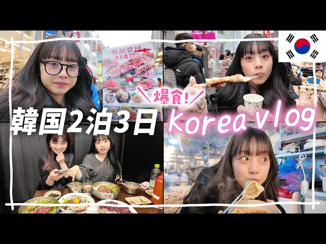 【爆食韓国Vlog①】2泊3日ソウルの旅♪明洞・広蔵市場でユッケ・タンタンイ・クァベギ・カルグクス😋