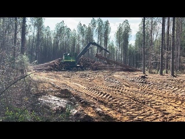 Logging in Alabama