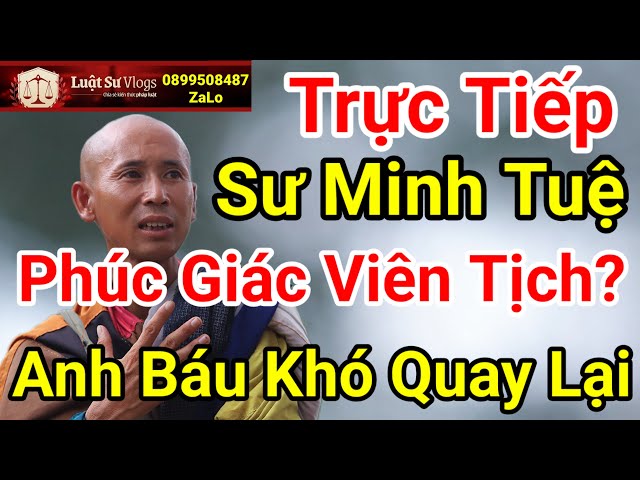 🔴 Tin Mới Nhất Sư Thích Minh Tuệ Có Đau Lòng Khi Biết Phúc Giác Nói Điều Này Không? Luật Sư Vlogs