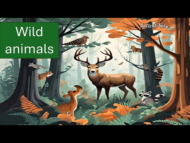 "🦁🐘 Wild Animals Names & Sounds | Fun Learning Video for Kids! 🐅🦓🐒"