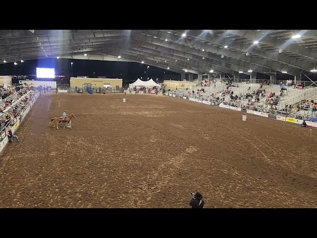 2023 Katy Rodeo JR. Barrels