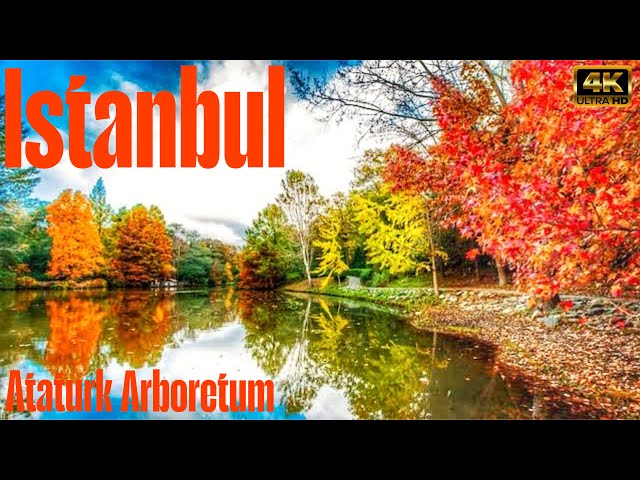 🇹🇷Istanbul, Türkiye | Walking Tour | Walking Tour Ataturk Arboretum | Walking | 4k Ultra HD/60fps