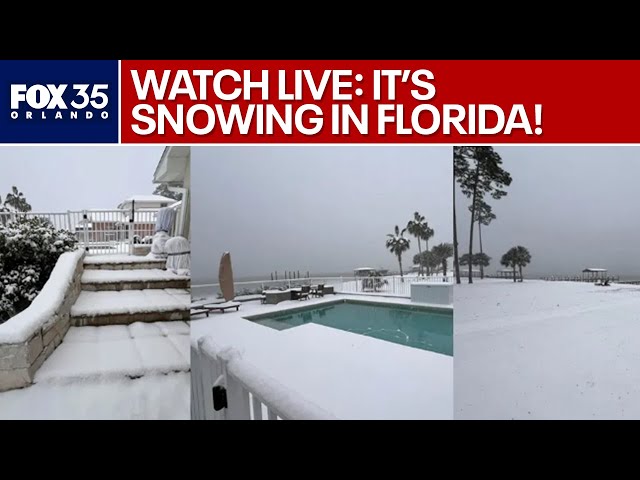 WATCH LIVE: It's snowing in Florida!