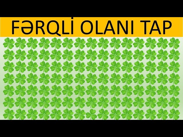 Fərqli olanı tap 3