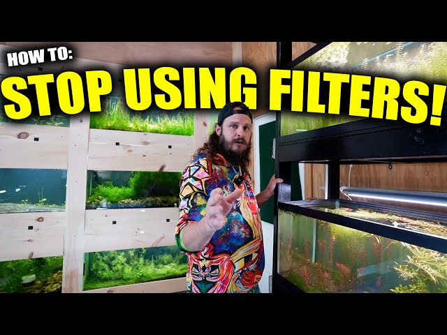 THE ZERO FILTER AQUARIUM  - Nature inspired fish tanks with Lucas Bretz LRB and king of DIY