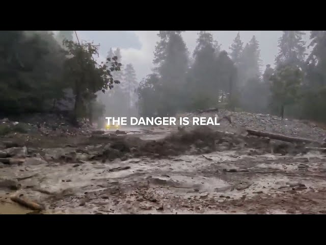 Debris Flows Move Fast, You Must Move Faster