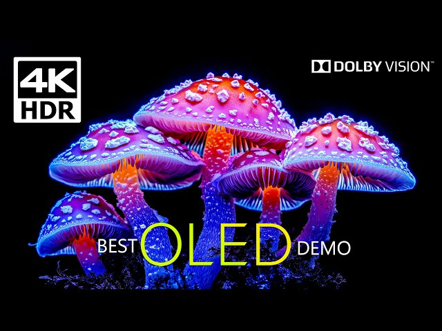 OLED Demo 4K HDR 60 fps Dolby Vision - (4K Video) ULTRA HD