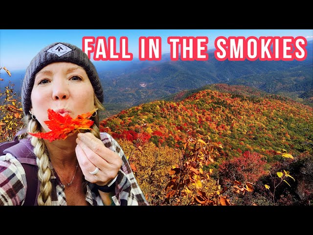 🍁 Solo fall hike to Mt Cammerer Fire Tower (Great Smoky Mountains)