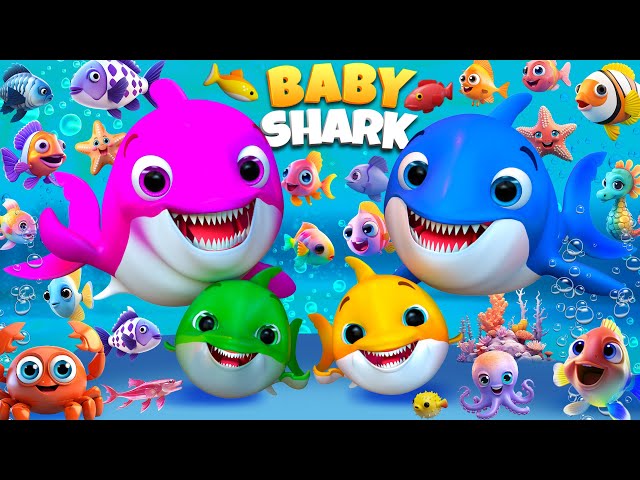 Baby Shark | Mommy Shark | Daddy Shark - Baby songs - Kids Songs #BabyShark #cocomelon #pinkfong