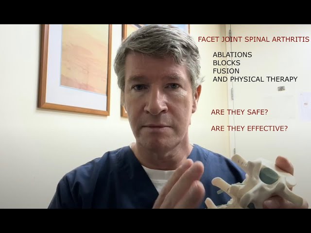 Facet Joints in the Lumbar Spine. Ablations, blocks, injections. Are they safe? Do they work?