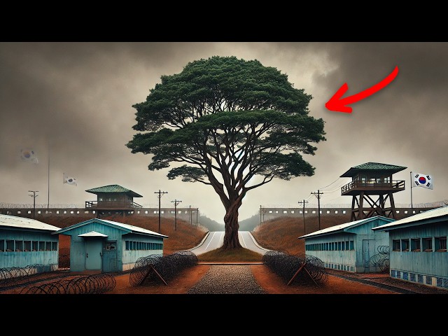 North Korea Doesn't Want You to Know About This Tree