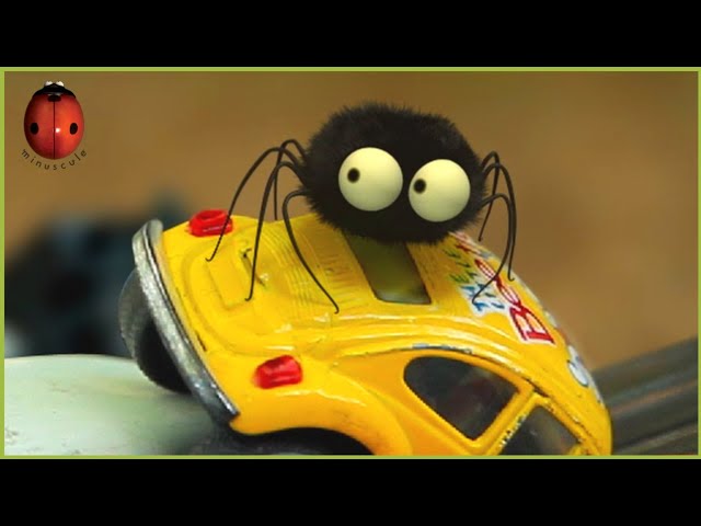 Spider Driver 🕷️ Minuscule 🚗 30' Compilation