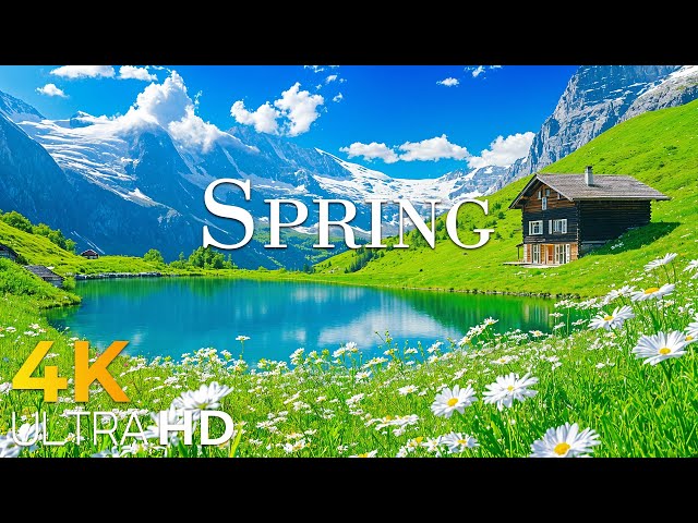 A Spring Escape to Switzerland 🌷 Discover the Colors of Ticino, Appenzell & Bernese Oberlan