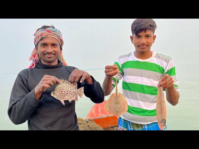 অনেক দিন পর আমাদের জালে ভাজাতারি মাছের দেখা পেলাম । সাথে অনেক লোটে মাছ ও চিংড়ি মাছ!!!