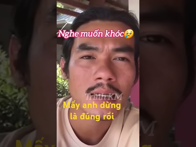 Tất cả các a dừng là đúng #thichminhtue #memes #thinhhanh #automobile #lekhagiap #phimhay