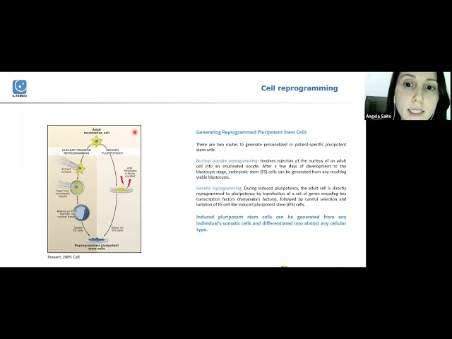 V Journal Club Fertility - A era da reprogramação celular: Onde chegamos e até onde podemos ir.