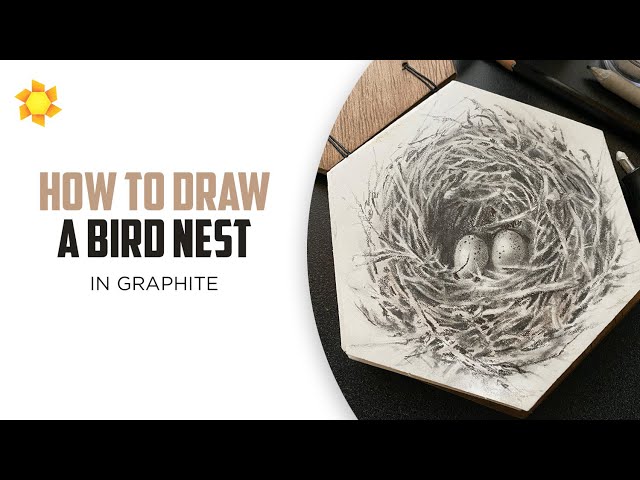 How to draw a bird nest