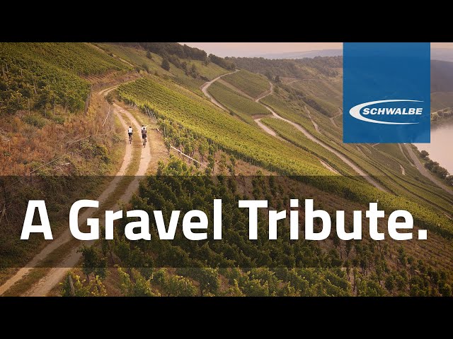 1981 - A Gravel Tribute - Erwin Sikkens X Schwalbe