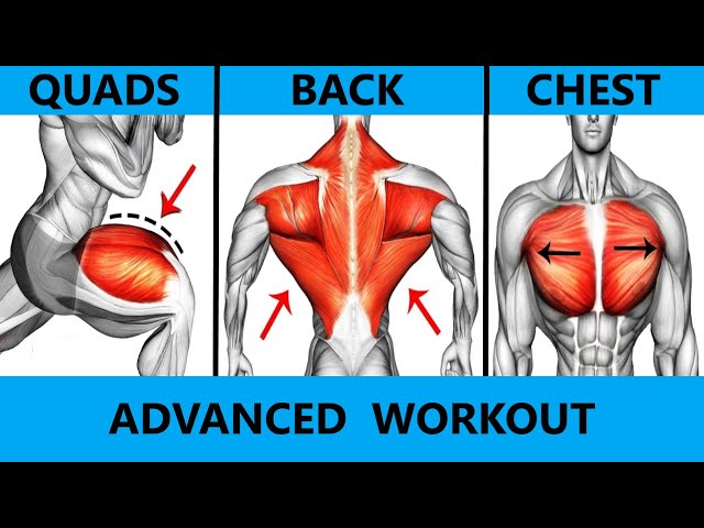 ADVANCED WORKOUT  BACK CHEST QUADS  MUSCLE BUILDING WORKOUT