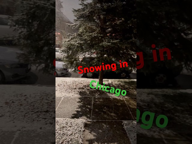 SNOWING IN CHICAGO