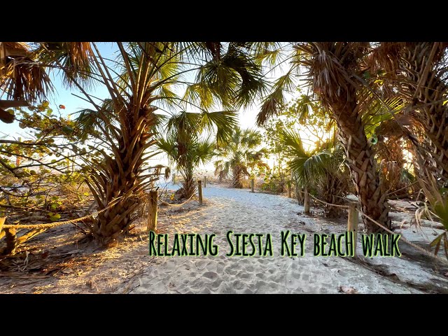 "Take a Peaceful 40-Min Walk on Siesta Key Beach – Virtual Escape"